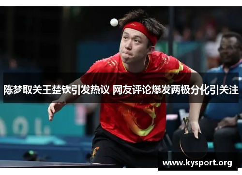 陈梦取关王楚钦引发热议 网友评论爆发两极分化引关注